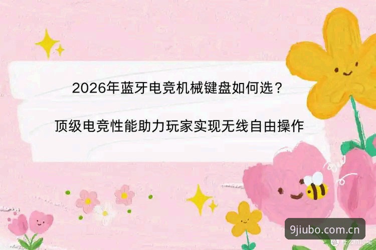 资深用户谈2026九博国际APP：v3.4.2版本使用心得与行业观察
