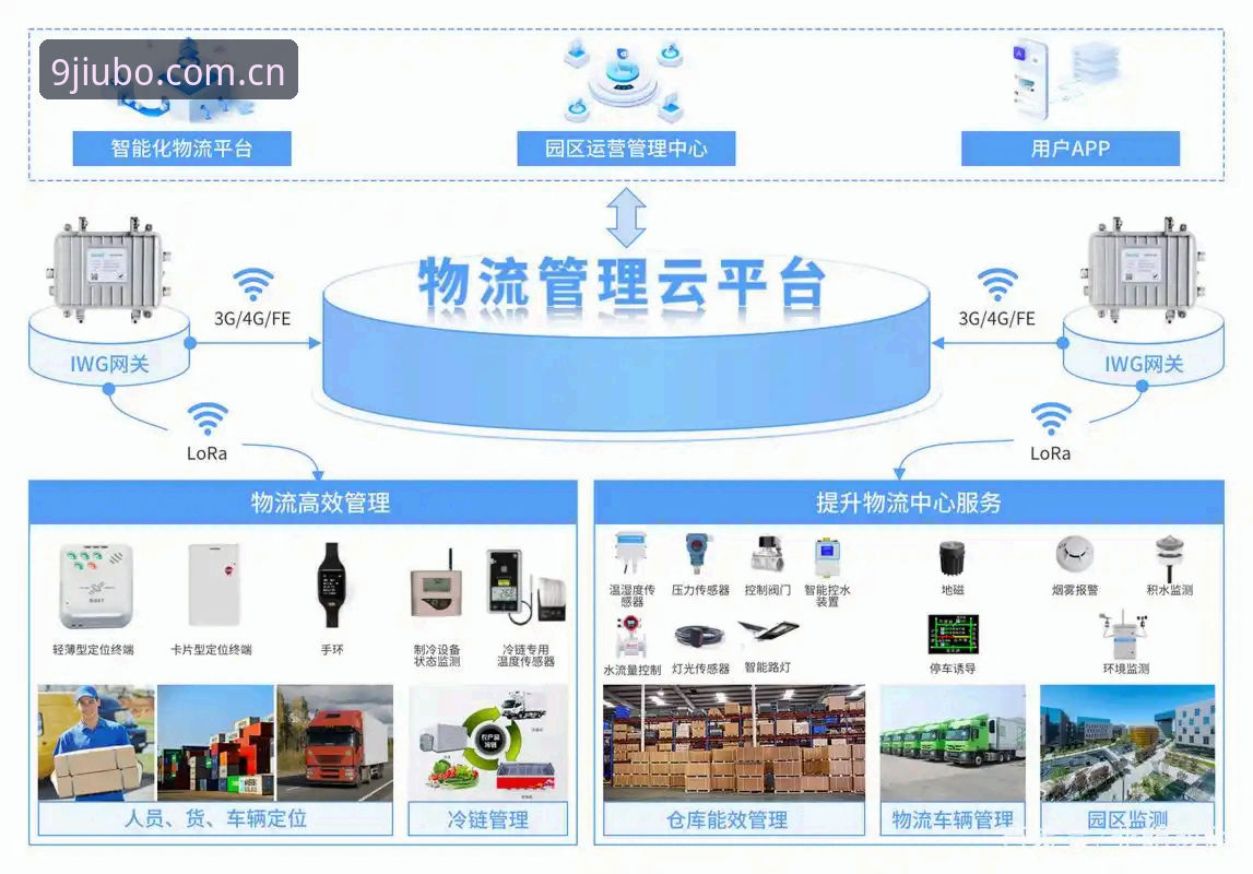 九博数字体验平台深度解析：从APP下载到一站式服务的行业新趋势